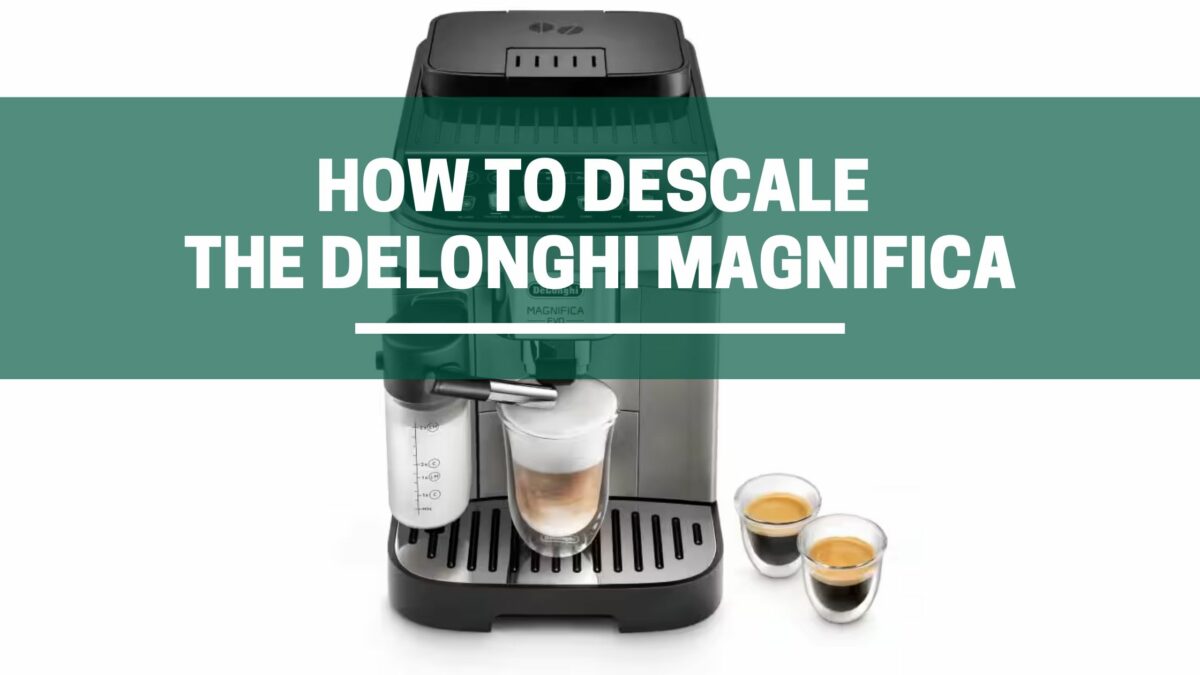 [SOLVED] Why is My De’Longhi Espresso Machine Leaking? (A StepbyStep