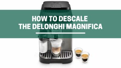 The Green Pods How to descale delonghi magnifica