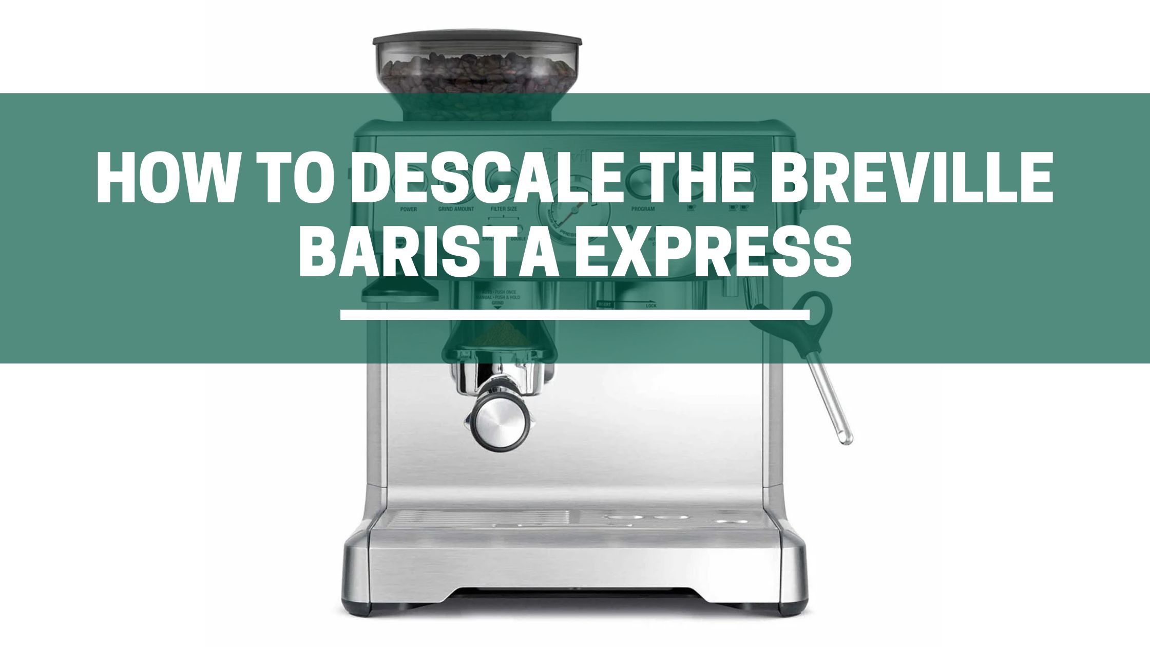 How To Descale Breville Barista Express (3 Simple Steps) 1 Green Pods How to descale breville barista express coffee macghine step by step guide